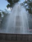 IMG_0452