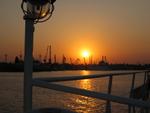 IMG_0530