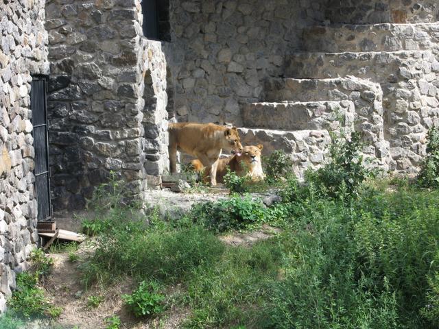 IMG_0304