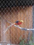 IMG_2331