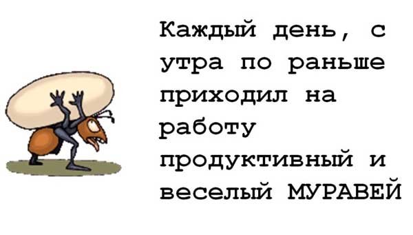 01-ant.jpg