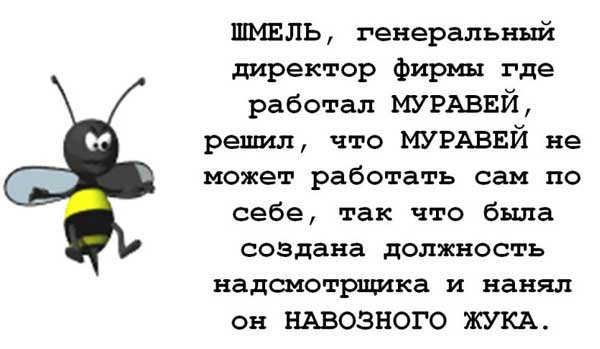 04-ant.jpg