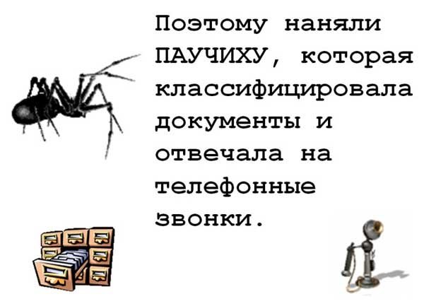 07-ant.jpg