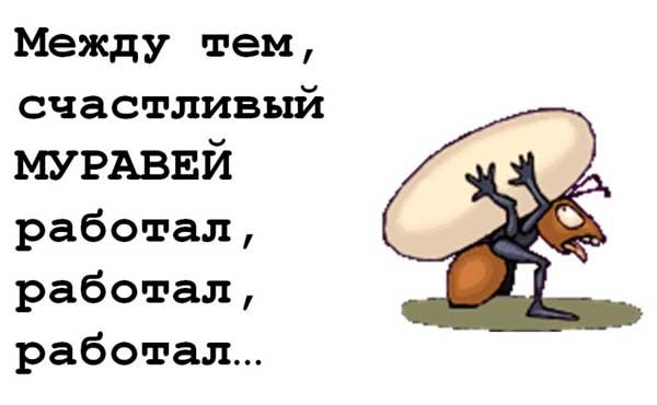 08-ant.jpg
