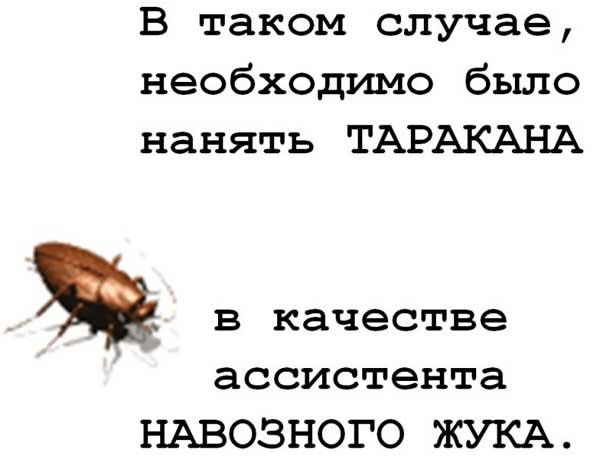 10-ant.jpg