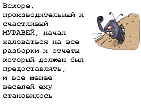 13-ant.jpg