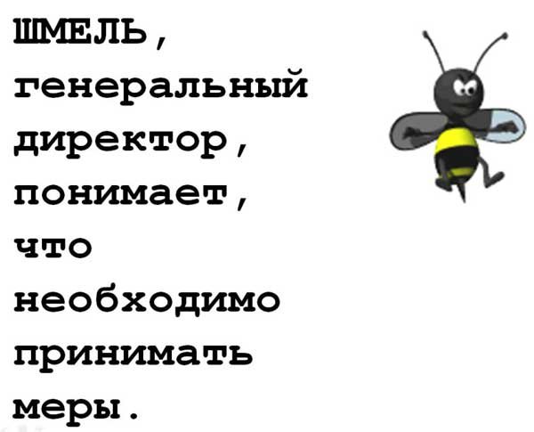 14-ant.jpg