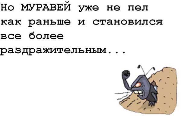 17-ant.jpg